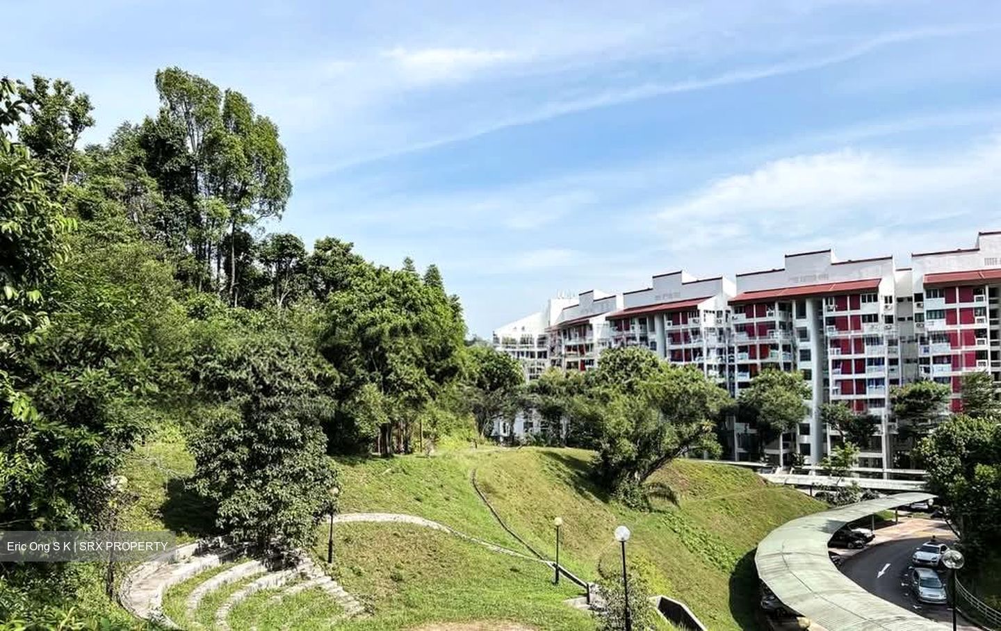 Clementi Park (D21), Condominium #582794821